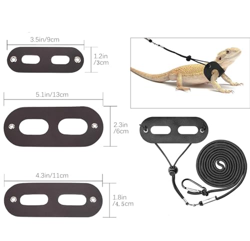 Conjunto de coleira e arnês de dragão barbudo, coleira de lagarto, dragão barbudo, pacote com 3 tama