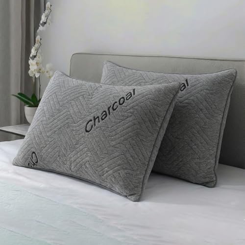 Image of AYKA Premium Charcoal Pillow for Sleeping | Super Soft & Fluffy Bed Pillow | 100% Virgin Microfiber Filling | Breathable | Ideal for All Sleeping Positions | 17x27 Inch | Grey | Pack of 2