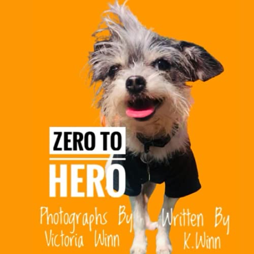 Zero to Hero: From the Streets to Cashmere Sheets