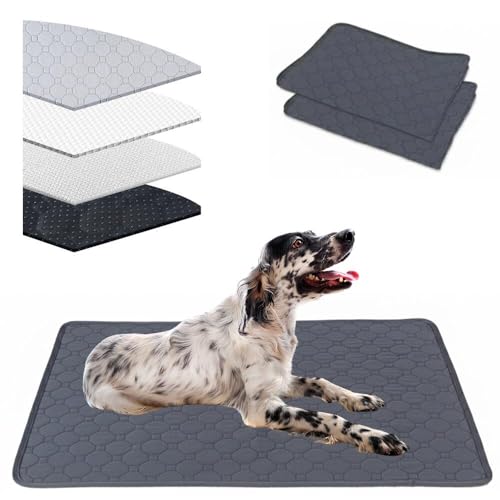 Lifetips CObVEZb^[iEnglish Setterj 􂦂ybgV[c ybgV[c 􂦂 2Zbg ~ V[cCh V[g L ۂƐ􂦂 ~}bg ld\ Rh~  ~ ^ ^ 