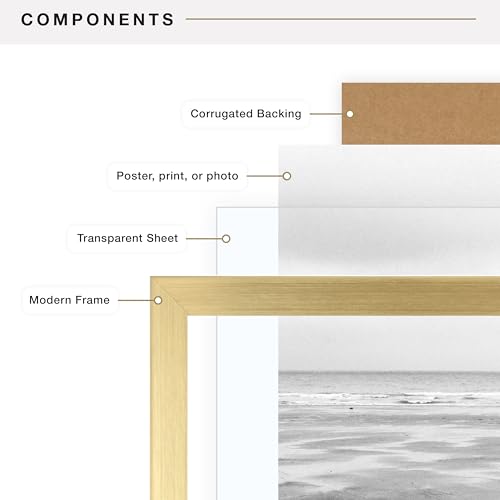 Image of MCS Foundation 20x27 Poster Frame Traditional Brass, Vertical & Horizontal Wall Hanging Large Picture Frame for Photos, Posters & Art Prints (1-Pack)
