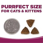 NutriSource Cat & Kitten Food, Chicken and Rice, 4LB - Image 7