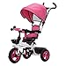 WINON Poussette Landau Poussette for bébé 1-3 Ans Voiture d'enfant 2-6 Ans Véhicule à 3 Roues Parasol Tige de Poussoir Pliable Rotation à 360 ° (Color : B)