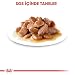 ROYAL CANIN INSTINCTIVE 7+ in Soße | 12 x 85 g | Alleinfuttermittel für ältere Katzen ab 7 Jahren | Zur Unterstützung der Vitalität | Instinktiv bevorzugtes Nährstoffprofil