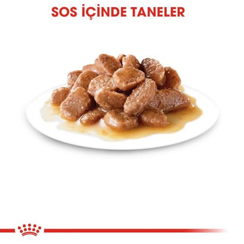 ROYAL CANIN INSTINCTIVE 7+ in Soße | 12 x 85 g | Alleinfuttermittel für ältere Katzen ab 7 Jahren | Zur Unterstützung der Vitalität | Instinktiv bevorzugtes Nährstoffprofil