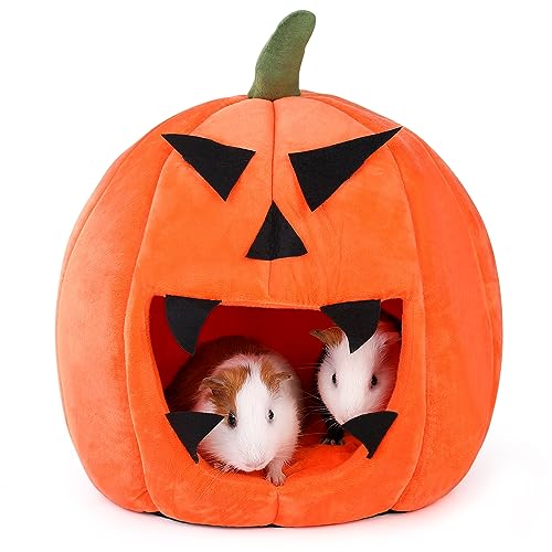 ONEJU Guinea Pig Hideout - Guinea Pig Bed, Halloween Style Small Pet Hides, Ideal Bed for Small Pets Pumpkin Shape, Orange