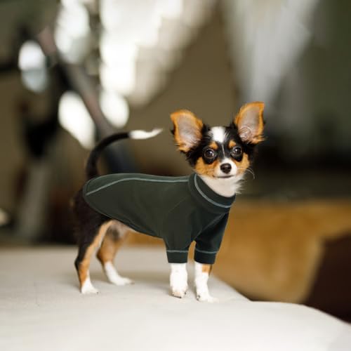 Hjumarayan Hundepullover Kleine Hunde - Dehnbarer Fleece Pullover Kleine Hund, Hundekleidung Warm Rollkragen Hundepulli mit Beinen, Hunde Klamotten für Shih Tzu, Mops, Dunkelgrün L
