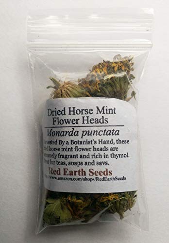 Red Earth Seeds - Horsemint Dried Flower Heads for Tea