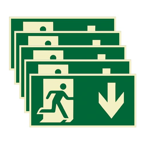 Voyoo Señal de salida de emergencia de 5 piezas, señal de salida de emergencia fotoluminiscente, señales de ruta de escape, brillo posterior 300 x 150 mm (Hacia abajo)