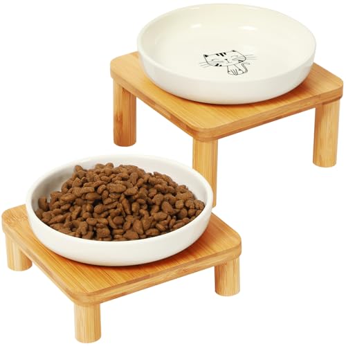 DoogCat Elevated Cat Bowls for Indoor Cats Raised Bamboo Cat Bowl Stand with 5.75 Inch Wide Ceramic Dishes Pet Food Plate Table for Easy Feeding Whisker Friendly(White Set of 2)