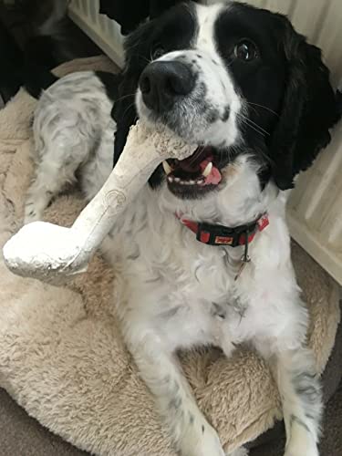 Bone Chew Toy for Dogs Hardwearing, Durable Boredom Buster Dog Toy - Image 4