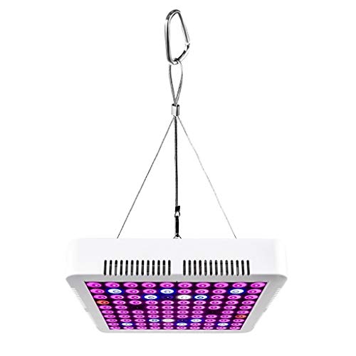 Indoor Plant Growth Light, 300W Greenhouse Flowers Vegetables Succulents Red and Blue Ratio Full Spectrum Increase Garden Lights (Size : 300W)