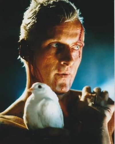 u[hi[ gK[nEA[ ʐ^, 20.3x25.4cm, t[Ȃ, fʐ^|X^[