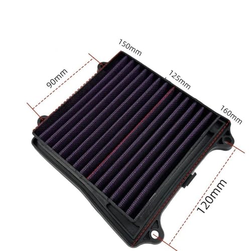 Filtre à air performance pour les voyages en Dominar 400 - 5