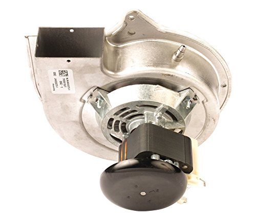 Amazon.com: Fasco A184 1-Speed Goodman Draft Inducer Motor, 115V 