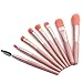 Wodasi Kit Pennelli Make Up, Professional 8Pcs Set di Pennelli per Trucco, Pennello per il Trucco Professionale,Set Di Pennelli Per Ombretti Sintetici Premium