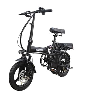 cheap electric bikes for adults