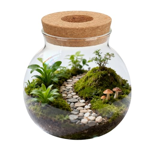 Veemoon Hydroponisches Glasterrarium Pflanzgefäß Tisch Dekoration für Hydrokultur Kleine Runde Vase mit Flaschenverschluss für Wohnzimmer Büro Fensterbank
