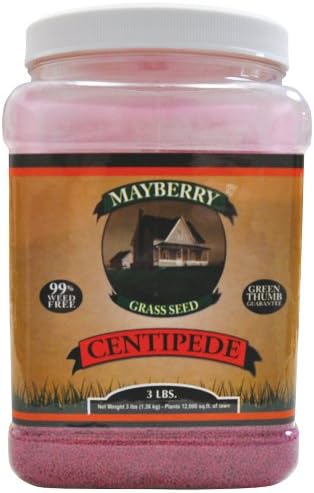 Mayberry Centipede Seed, 3-Pound