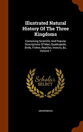 Illustrated Natural History Of The Three Kingdoms: Containing Scientific And Popular Descriptions Of Man, Quadrupeds, Birds, Fishes, Reptiles, Insects, &c, Volume 1
