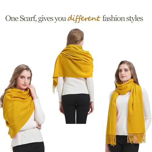 Women's Winter Scarf Fashion Pashmina Shawls and Wraps Soft Warm Long Large Scarf4