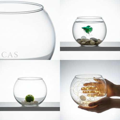 Image of CAS 1L to 14L Glass Fish Bowl (10 INCH, Glass Bowl, Without Neck) 6.5 litres