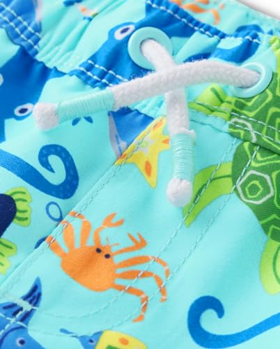 Image of Gymboree Boys and Toddler Swim Trunks