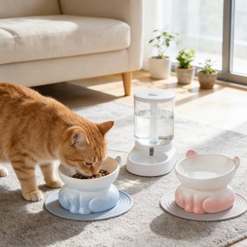 Gamelle céramique chat surélevée en lot de 2 finitions épurées
