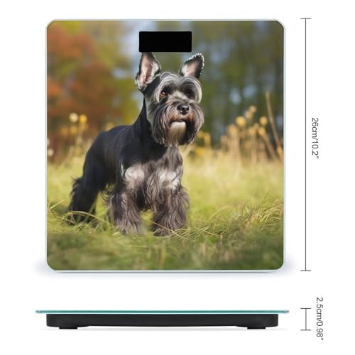 Báscula Digital de Baño con Diseño de Perro Schnauzer y Capacidad 400 lb miniatura 2