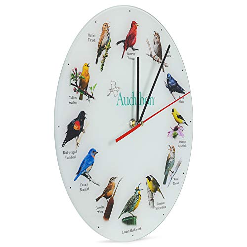 Mark Feldstein & Associates Audubon Songbird Species Non-Singing Classic White 12 Inch Smooth Glass Round Wall Clock #TOP1
