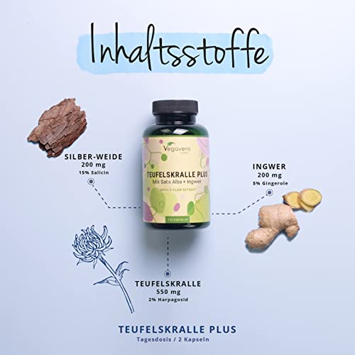 Teufelskralle Kapseln Vegavero | 550 mg | Mit Weidenrinde (Salix alba) & Ingwer | 2% Harpagoside aus Harpagophytum procumbens | Vegan & Ohne Zusätze | 120 Stück