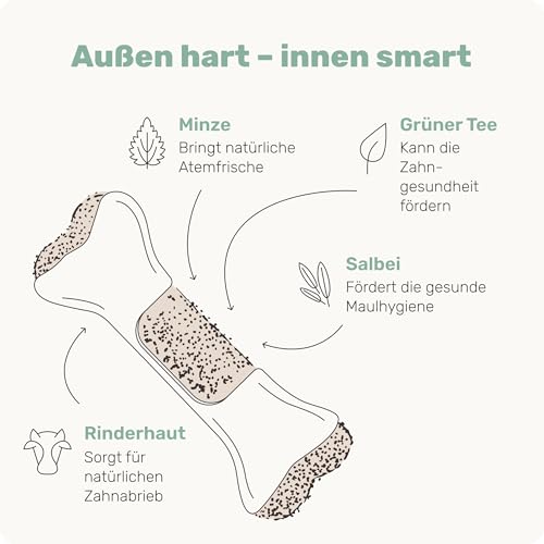 4-in-1 Zahnpflege-Kauknochen - Fresh Bone+ 1x Kauartikel (12cm) von mammaly - Kaustange aus Rinderhaut mit Salbei, Minze & Grüner Tee u.v.m. zur Mundhygiene - Kauspielzeug / -Knochen gegen Mundgeruch
