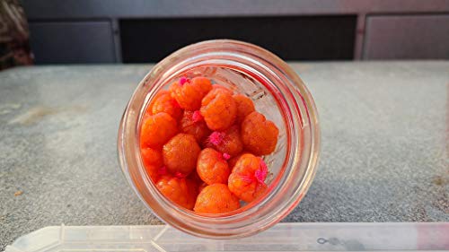 Atlas Mike's 55046 Nylon Rolls, Red, 4 X 30-Feet #TOP3