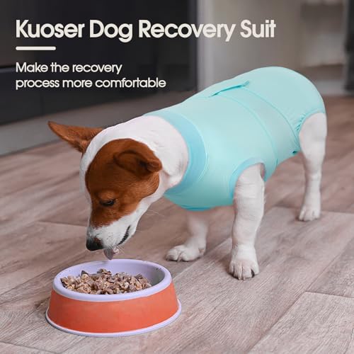 Image of Kuoser Dog Recovery Suit, Female Male Spay Neuter Surgery Suit, Azure, XS | Post-Surgery Anti-Licking Pet Onesie, Surgical Bodysuit Cone Alternative to Protect Wounds, Incisions, Skin & Recovery Care
