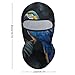 Fashion Lightweight Lovely Blue Parrot Rain Ski Mask, Balaclava Face Cover,Full Head Masks for Snowboard Motorcycle Sports Riding