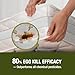 EcoVenger (Formerly EcoRaider) Bed Bug Killer with Remote Sprayer 1Gal - Kills 100% All Stages on Contact- Kills Resistant Bugs- Kills Eggs- 14 Day Residual Protection- Non-toxic- Child & Pet Friendly
