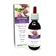 Zistrose (Cistus incanus) Kraut Alkoholfreier Urtinktur Naturalma - Flüssig-Extrakt Tropfen 120 ml - Nahrungsergänzungsmittel - Veganer