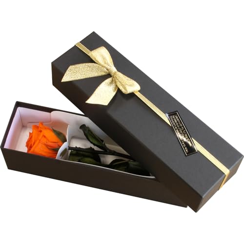 vU[uht[ vU[ht[ ւKN IW v[g j LO a AW t[Mtg t[AWg ͂Ȃo   ̓