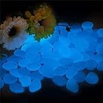 Smooce Piedras Luminosas Jardín, Piedras Decorativ...: 💎【Resplandor en la oscuridad】Cada bolsa contiene alrededor de 200 piedras luminosas jardín de resina dura no tóxica.Estos pequeños piedras luminosas absorben suficiente luz solar u otra luz artificial durante el día para brillar por la noche o en cua...
