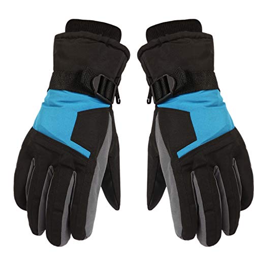 Bloepum Ski Gloves Winter Snow Outdoor Sport Men Warm Snowmobile Motorcycle Waterproof Snowboard Blue