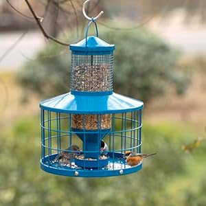 Caged Bird Feeders Squirrel-Proof, Metal, 2.8 Lbs Capacity-Cage Tube Seed Feeders with Tray Outdoor Hanging, Attract Birds,Detachable Cleaning, Starling Proof Wild Bird Feeder(Blue) Caged Bird Feeders Squirrel Proof Metal 28 Lbs Capacity Cage Tube Seed Feeders with Tray Outdoor Hanging Attract BirdsDetachable Cleaning Starling Proof Wild Bird FeederBlue