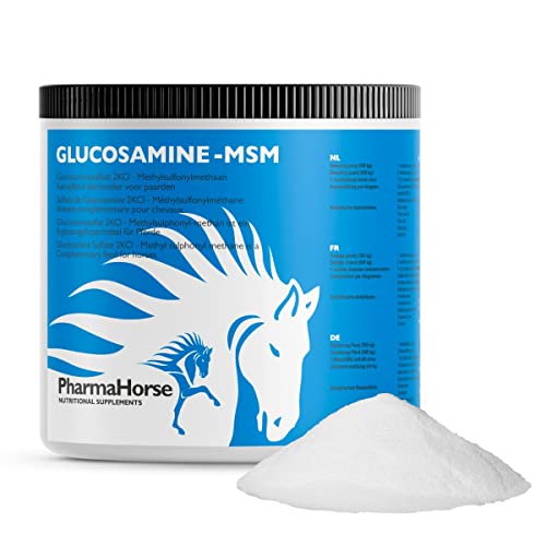 Pharma Horse Glucosamina & MSM caballo 500 gramos Cover