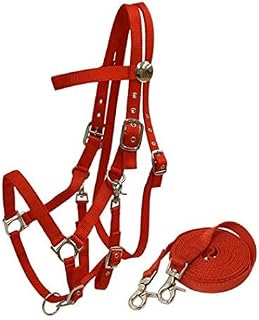 Nylon Combination Halter Bridle w/Reins