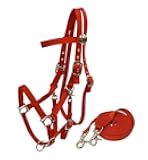 Nylon Combination Halter Bridle w/Reins