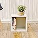 Way Basics Cube Storage - Closet Organizer Stackable Cubby Shelf (Tool-free Assembly)