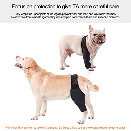 Teksome Hüftbandage für Hunde – Hunde-Kniestütze für schnellere Genesung, Hüftgelenk-Bandage für Kreuzbandrisse, Patella-Luxation, Arthrose, Limping von Gelenkschmerzen, Hüftdysplasie