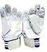 Protection Guard Right-Hand Cricket Batting Gloves