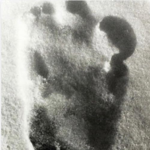 Sir Desmond Stirling's Abominable! episode 2