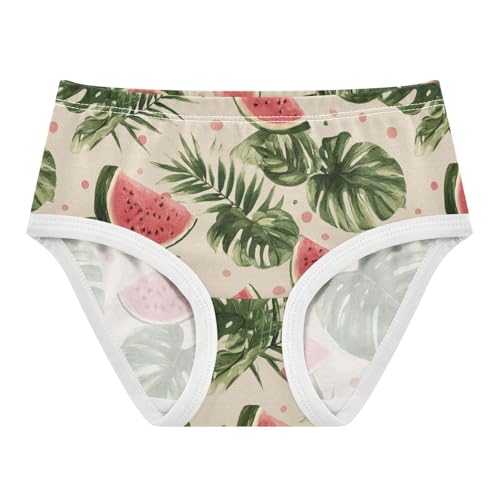 Wusikd Watermelon Palm Girls' Underwear Cotton Girls Briefs Soft Toddler Underwear 2T