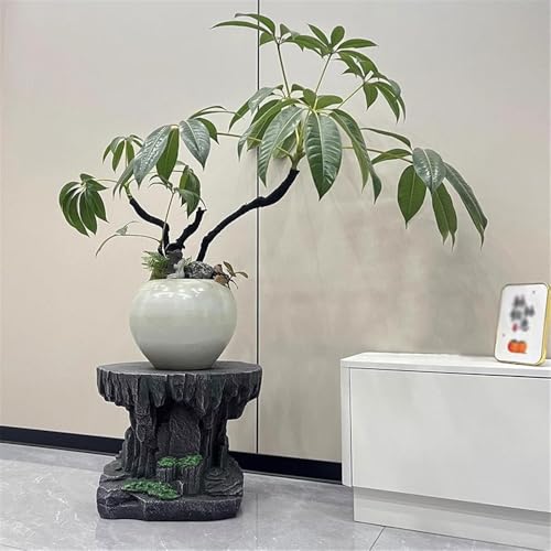 Support pour pots de bonsaï en résine sculptée haute qualité